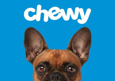 Essential Products At Chewy That Every Pet Owner Should Have